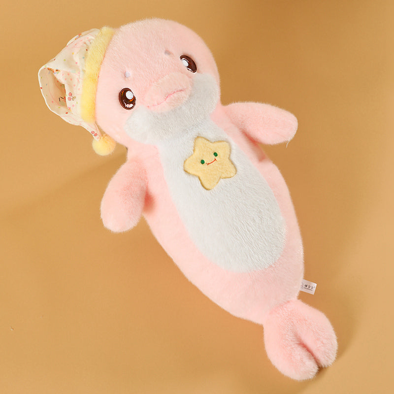Star Dream Dolphin